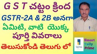 121. What are GSTR-2A & GSTR-2B with Full Details under GST Act | TELUHGU | Smart Tally Prime