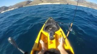 Why I don't deep sea fish from a kayak anymore