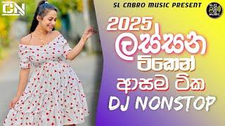 New Dj Remix 2025 | Sinhala Dj Nostop | DJz RaVishka SL Cnbro Music