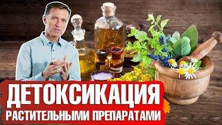 Детоксикация организма: какие растительные препараты помогут? 