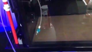 6 foot shallow reef build part 3! Water testing and stand update