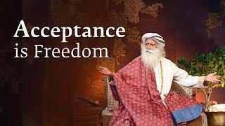 Why Acceptance Is Freedom - Sadhguru Spot (2nd Aug, 2018)