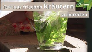 Tee aus frischen Kräutern zubereiten | MDR