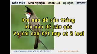 Khi nào bố trí cầu Thẳng, khi nào bố trí cầu Góc? Kiến Thức chào mào