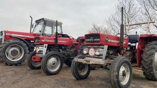 Massey Ferguson mania !!!! All for sale