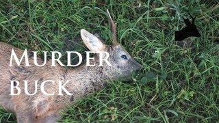 Roe deer rut 2013: Murder buck shot by RoeStalker