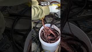 고물상에서 찾은 배전반에는 구리가 몇 kg 들어있을까?