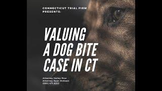 How Much Is My Dog Bite Case Worth In Connecticut?