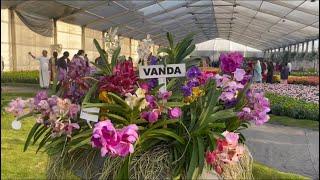 Flower show at Marine Drive, Kochi