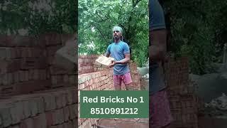 Red Bricks No 1  #shorts #viral #bricks