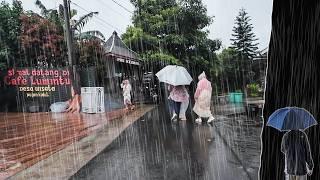 Heavy Rain Walk in Indonesia Village | ASMR Fall Asleep Fast