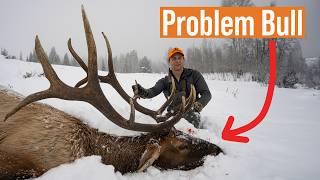 Bull Elk Down! The Story of Wyoming's Feedgounds #FreshTracks