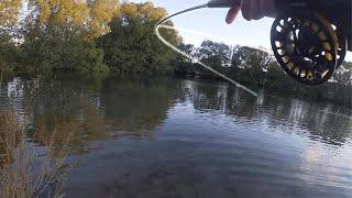 This High Country Lake Has Some MASSIVE Trout! (BIG BROWN TROUT)