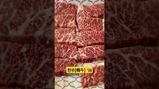 코리아 넘버원 누렁이   #shorts #koreafood  #소고기 #한우 #beef #음식 #맛집 #맛있는 #맛집공유 #koreanbeef
