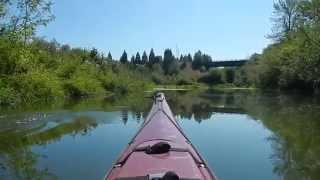 Kayaking Columbia Slough, Oregon