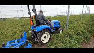 EL TRACTOR MAS PEQUEÑO DE NEW HOLLAND BOOMER 25 EN CHILES BAJO MALLASOMBRA...27 HP DE SUPER POTENCIA