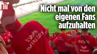 1. FC Köln: Fans wollten Randalierern die Sturmhauben entreißen