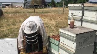 Managing for Increase & Honey Production  while avoiding Swarming