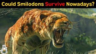 Could Smilodons Survive Nowadays?