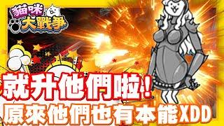 《哲平》手機遊戲 貓咪大戰爭 - 大家沒有講!! 我還真忘記了xdd | 一直以為只有超激貓貓w 有本能可以點XDD