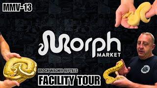 Private Tour Of Brock Wagner Reptile's Ball Python Breeding Facility |  MMV-13