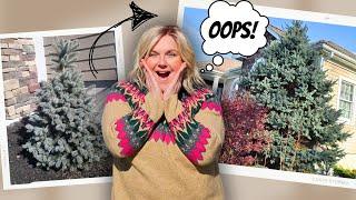 13 Mistakes You Must NEVER Make in Your Yard or Garden. Landscaping Tips for the DIY Homeowner.