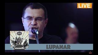 Mihai Margineanu - Lupanar