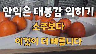 떫은대봉감 소주로 잘 안익어서 실험을 해 봤습니다.소주,막걸리,식초실험 영상입니다.#안익은대봉감익히기#대봉감익히기#대봉감잘익히는법#홍시만드는법#연시만드는법#감빨리익히는법