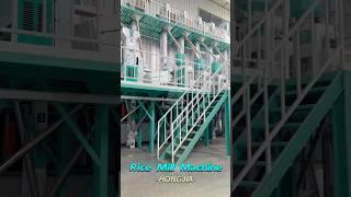 40T/D Rice Mill Plant | Rice Process Machine Manufacturer-Hongjia Grain Machinery #ricemillsupplier