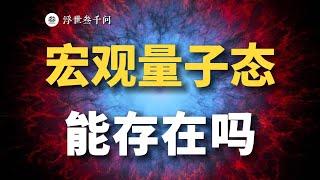 【量子力學篇-18期】退相幹：宏觀世界，也存在量子態？