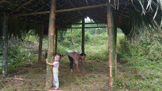 60 Days: Construction Journey - 16-Year-Old Single Mother Builds Bamboo House Alone