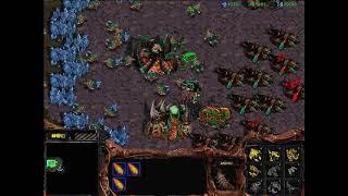 StarCraft: Brood War - 1 Zerg vs 7 Zerg (vs 7 computers ) Map: Big Game Hunters