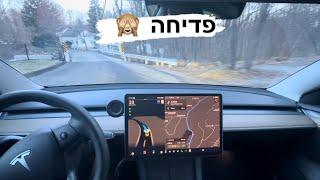 FSD Beta v12.3 - גשר צר מאוד, פדיחה ביציאה