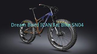 Dream Build-ICAN Carbon Full Suspension Fat Bike SN04 120mm Travel