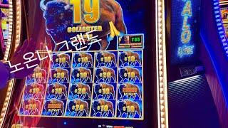 라스베가스 슬롯머신 7탄. 아리아호텔 카지노에서 버팔로들 덤벼라. Las Vegas Aria Casino slot machine.