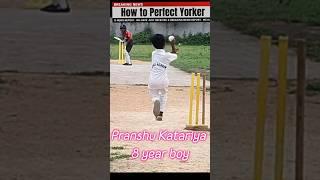 Perfect inswing Yorker boy #how #howto #inswing #outswing #fastest #mitchellstarc #jaspritbumrah
