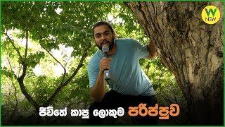 ජීවිතේ කාපු ලොකුම පරිප්පුව මොකක්ද? - Gehan Blok