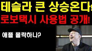 테슬라 큰 상승온다! 드디어 로보택시 사용법 공개! 엄청나다! 오를수 밖에 없는 테슬라! 애플의 위기가 오나? 엔비디아 팔란티어 계속 간다! 이란 이스라엘 잠시 숨고르기 가나?