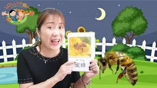 Basic Mandarin for Playgroup with Yang Laoshi: 虫 (Insects)