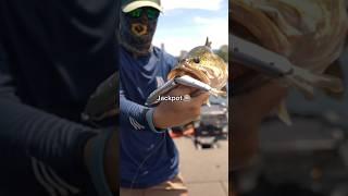 Catching HUGE bass for a commercial! #fishing #shorts