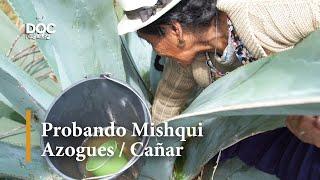 Probando Mishqui | Doctv Ecuador