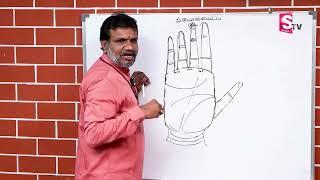 Money Lines Palmistry In Telugu || Hasta Samudrikam | Money in Palmistry | Sumantv