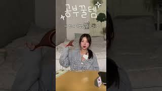 공부 꿀템 추천 3가지! #대학생 #공부꿀템 #asmr