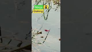 Ninja technique fishing #Googan Squad #Black #shorts #reels #Fishing with Norm #fishing