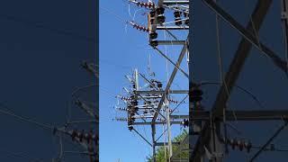 Cat whiskers not doing their job here ️ #linemanlife #lineman #voltage #highvoltage