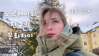 [VLOG] Happy New Year! 노르웨이에서 보내는 새해 일상 브이로그ㅣ문화차이, 영어배우기, 한식만들기