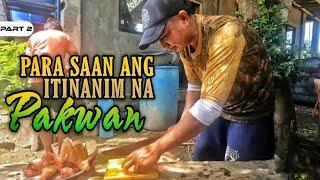 P2 - Si Pongloy Nagpatanim ng Pakwan, Meron nga bang Pinaghahandaan? - EP1583