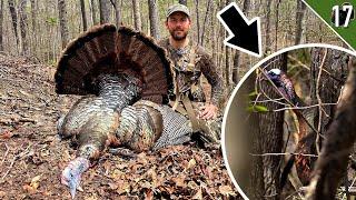 Hunting Turkeys we spooked YESTERDAY!!! - (Alabama Public Land)