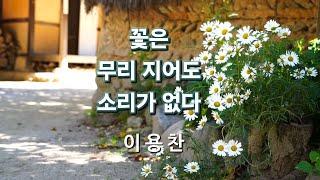 꽃은 무리 지어도 소리가 없다- 이용찬