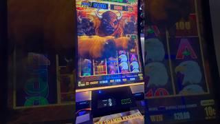 CRAZY JACKPOT LINEPAY ON BUFFALO CASH SLOT! #slots #jackpot #casino #gambling #slot #slotmachine